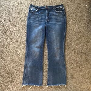 Flying Monkey Dark Blue Flare Jeans